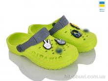 Крокси Progress Гіпаніс Д009 салатовий