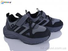 Кросівки Bessky-Kellaifeng BY5180-2C