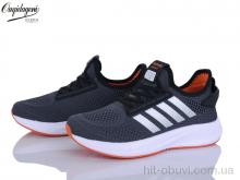 Кросівки Dageni B2526-3