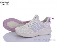 Кросівки Dageni B2526-19