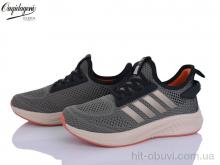 Кросівки Dageni B2526-24