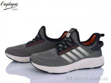 Кроссовки Dageni A2526-24