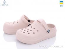 Крокси Acorus 312 powder