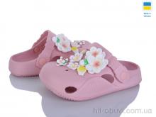 Крокси Golden Lion 330 пудра