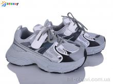 Кросівки Bessky-Kellaifeng BY5249-4C